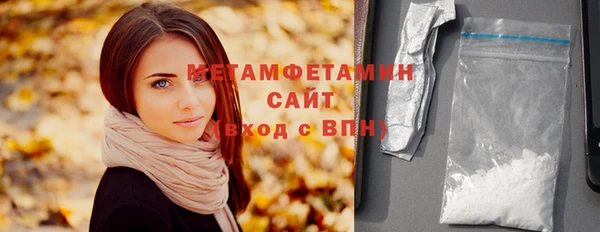 индика Пестово