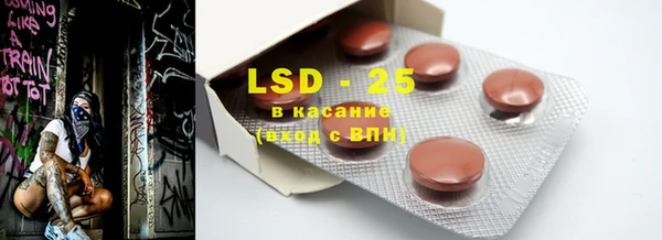 индика Пестово