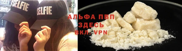 индика Пестово