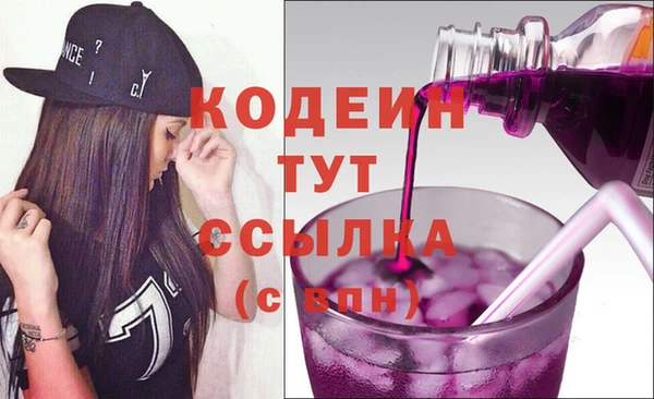 индика Пестово