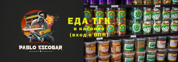индика Пестово
